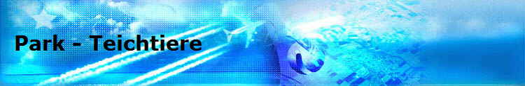 Park - Teichtiere